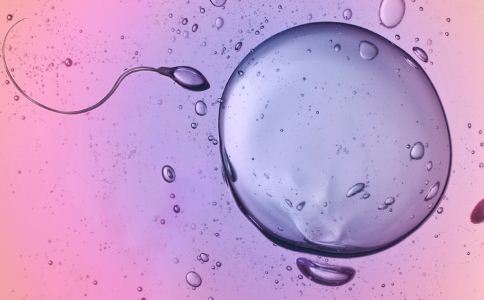 借卵试管婴儿有风险？新的研究证实，有出生缺陷的借卵试管婴儿更有可能患上癌症