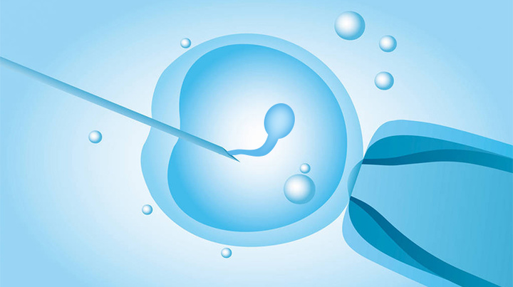 供卵试管三代代生中为什么有的胚胎成功着床，有的胚胎失败？
