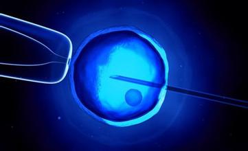子宫内膜增生是否影响做第三代借卵三代代怀试管的成功率？
