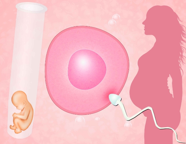 借卵做三代代怀试管成功的四个技巧，胚胎质量是关键!