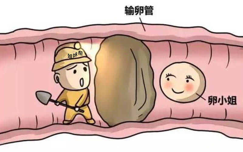 上海仁济医院赠卵供卵三代试管的成功率是多少