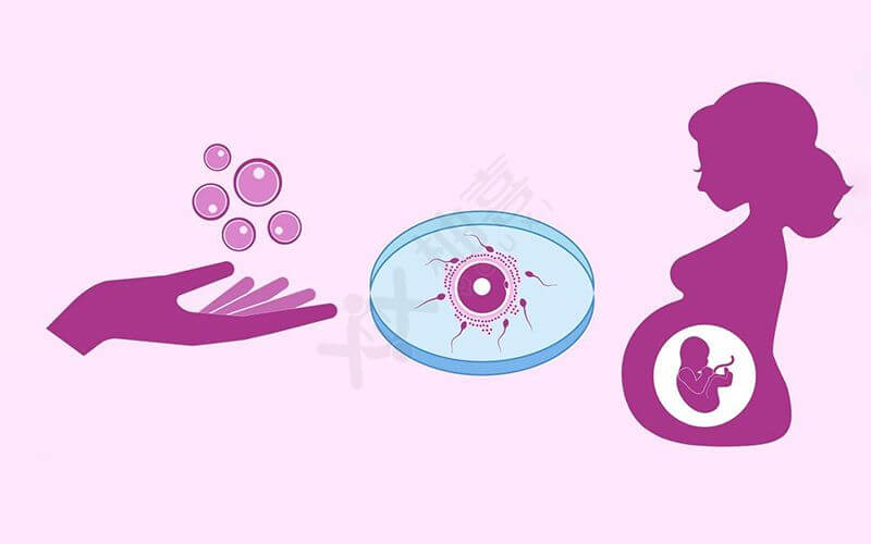 胚胎移植与试管婴儿的区别