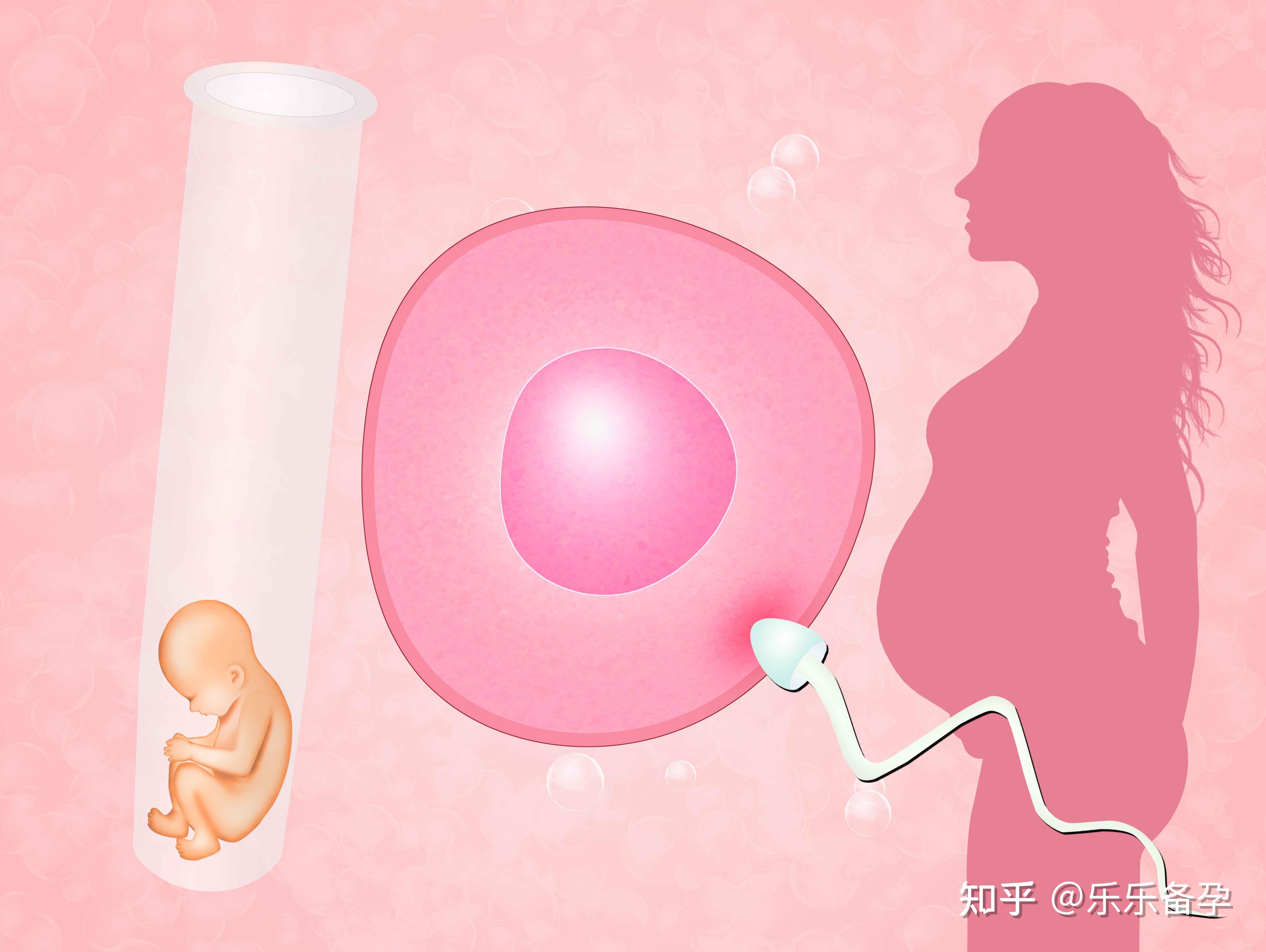 2023在辽源仁济医院做一次供精试管要花多少钱？