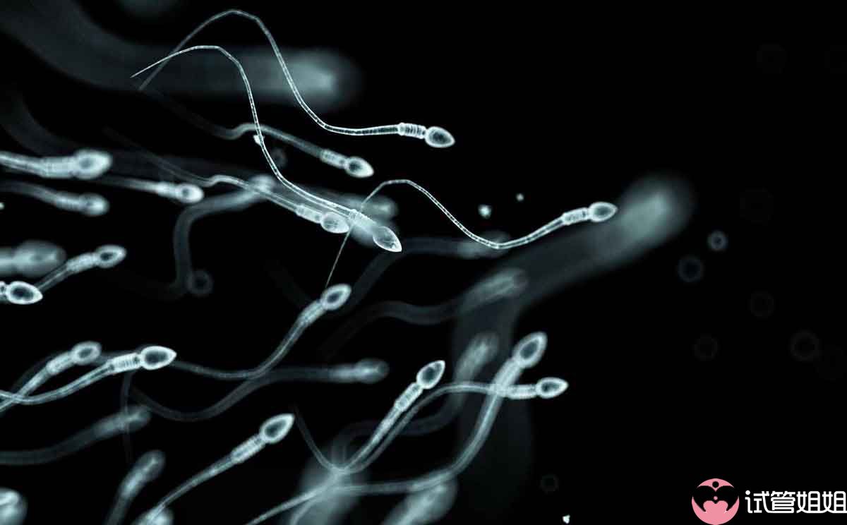精子卵子结合障碍是什么原因+试管精卵结合障碍是什么原因