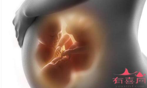 2024年单身试管代怀的孩子移植一个鲜胚会有几率分裂变成双胎吗（内附试管费用明细）