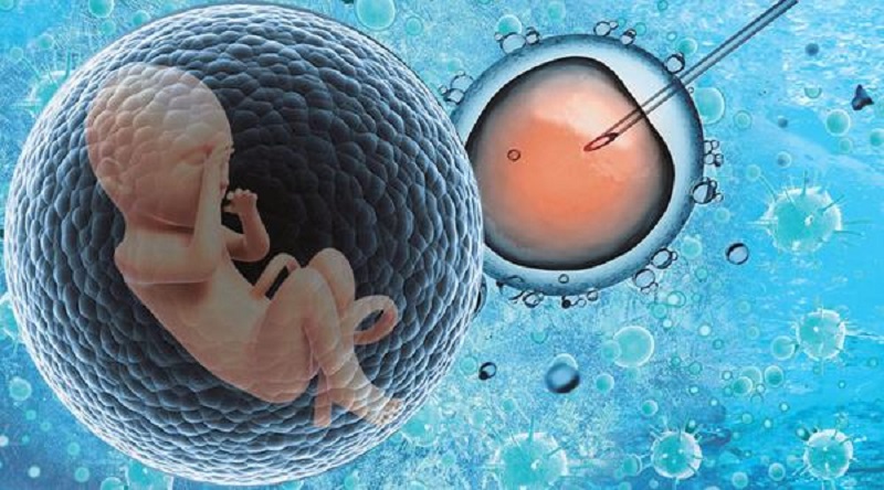 胚胎移植前孕酮20以上可以移植吗